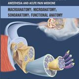 Anatomical Foundations of Regional Anesthesia and Acute Pain Medicine