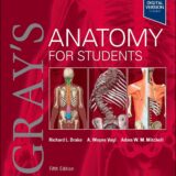 Gray's Anatomy for Students 5th edition