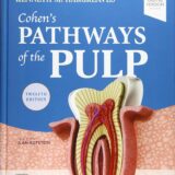 Cohen's Pathways of the Pulp 12th Edition