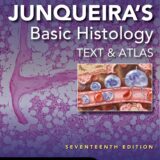 Junqueira's Basic Histology Text and Atlas, Seventeenth Edition 17th Edition